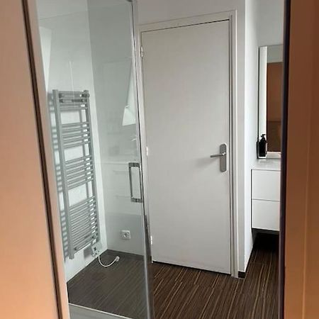 Apartmán Grand Duplex De 80M2 Alençon Exteriér fotografie